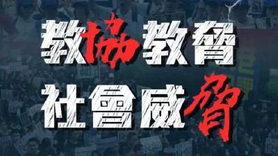 干扰爱国守法教育，香港“教协”想做什么？