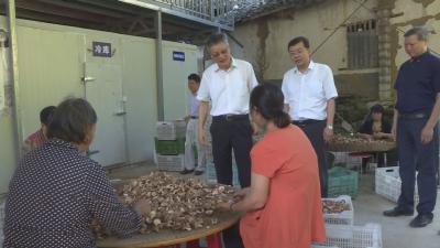 王建鸣赴神农架开展省委人大工作会议会前调研