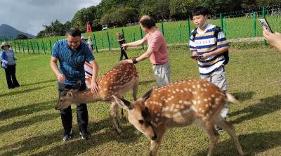 “与爱同行 惠游湖北”活动受青睐  林区文旅局相关人士就游客预约等问题作出提醒