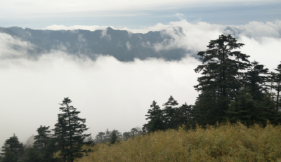 神农顶景区现云海景观 引游客观云海赏秋景