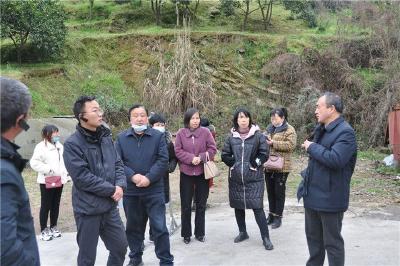 松柏镇组织考察团外出参观学习精品民宿建设经验