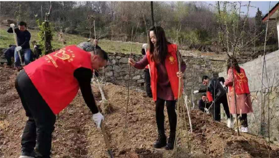 神林集团开展义务植树活动