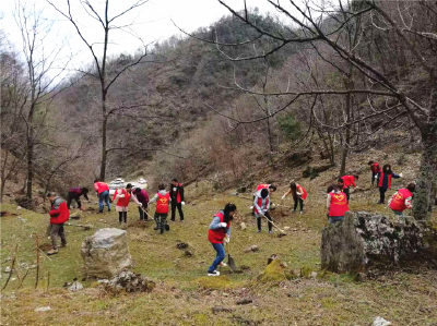 践行志愿服务精神  绿水青山共同守护