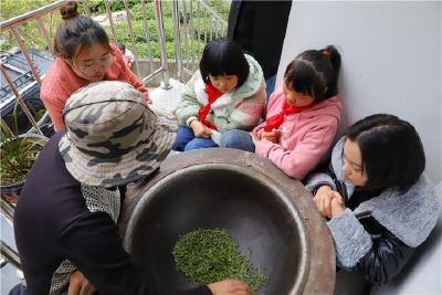 神农架：将课堂“搬”进茶园