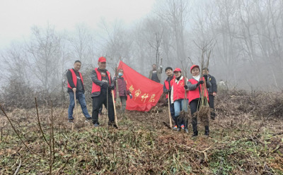 为“绿色宝库”填新绿  神农架林区完成春季植树造林1552亩