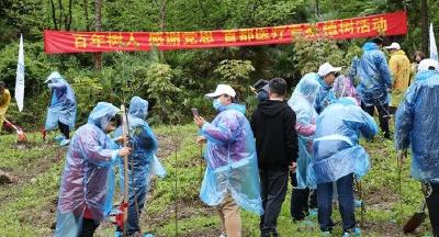 “同心·共铸中国心”医疗专家开展公益植树活动 为神农架增添一抹绿