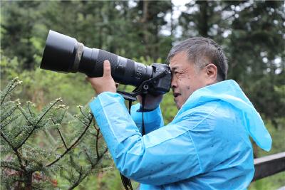 人间仙境! “观鸟大咖”点赞神农架