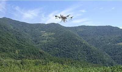 神农架首次用无人机防治森林病虫害 
