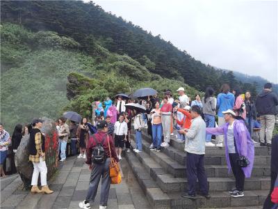 清凉一夏  神农架成为游客青睐的避暑打卡地