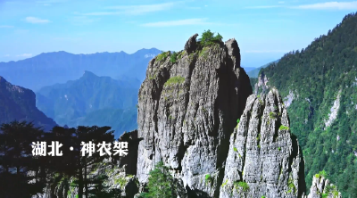 COP15大会，看神农架生物多样性之美！