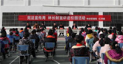 “宪法宣传周”暨林长制宣讲进红坪校园