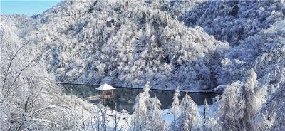 雪后初晴，神农架宛若童话世界