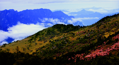 神农架：守护绿水青山 擦亮最美底色