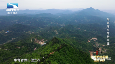 《是这个理》：陶家河乡的新长征