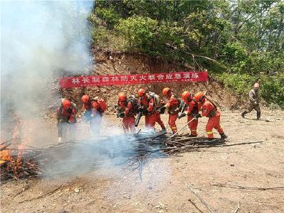 高效联动!神农架联合房县开展森林防火应急演练