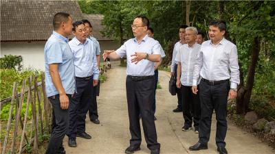 省政协主席孙伟调研新华镇石屋头村乡村振兴工作