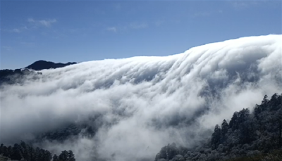 神农顶景区雪景与云海齐现