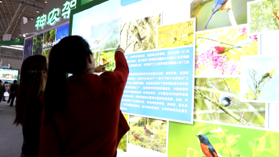 神农架观鸟成果首次亮相世界大健康博览会