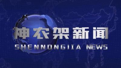 神农架新闻 2025.04.28(12:00档)