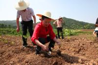 郭永红到龙泉村开展帮扶活动