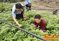 随县植物保护站开展产地检疫服务企业发展