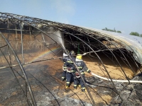 蔬菜大棚突发大火 随州消防成功扑救