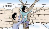 湖北一男子在广州爬树反映诉求 被警方带回调查