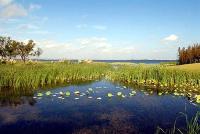 随州为国家生态园林城市创建加码助力