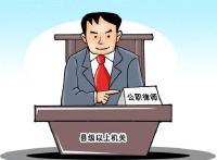 湖北省国税局推行公职律师制度 65人上岗