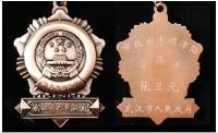 全省百人享政府专项津贴