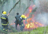 事件|南郊两村山场突发火情  干部群众齐心协力扑灭山火