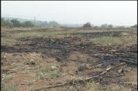 严查秸秆露天焚烧 违者将被追究问责