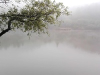 随州市大洪山风景名胜区——白龙池