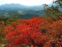 赏随州秋色 阅随城风貌