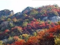 赏随州秋色 阅随城风貌