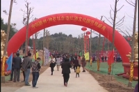 神农红生态红酒文化产业园落户小林 打造红酒旅游小镇