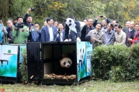 四川大熊猫“华妍”和“张梦”回归野外