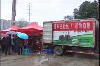 田间菜蔬直通社区  新鲜低价一抢而空