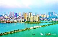 走进岳阳 | 试问天下银杏，唯我随州醉美