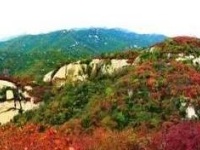 赏随州秋色 阅随城风貌