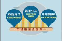 随州高新区：“冠军企业”养成记 