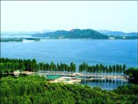 湖北新增3个“国家森林城市”  荆州、丹江口获省森林城市