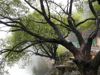 随州市大洪山风景名胜区——白龙池