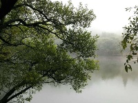 随州市大洪山风景名胜区——白龙池