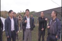 王志勇到广水市太平镇猫子湖村调研精准扶贫工作