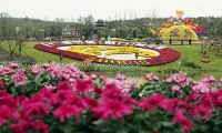 随州积极参与中国（荆门）菊花展 展园林风采