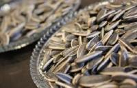 网传“吃瓜子=喝油”？太夸张