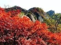 赏随州秋色 阅随城风貌