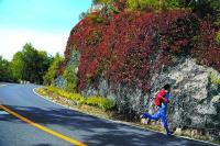 国庆假期去哪儿玩？赏花观景各地都有不堵不挤的地儿 