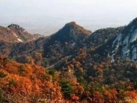 赏随州秋色 阅随城风貌